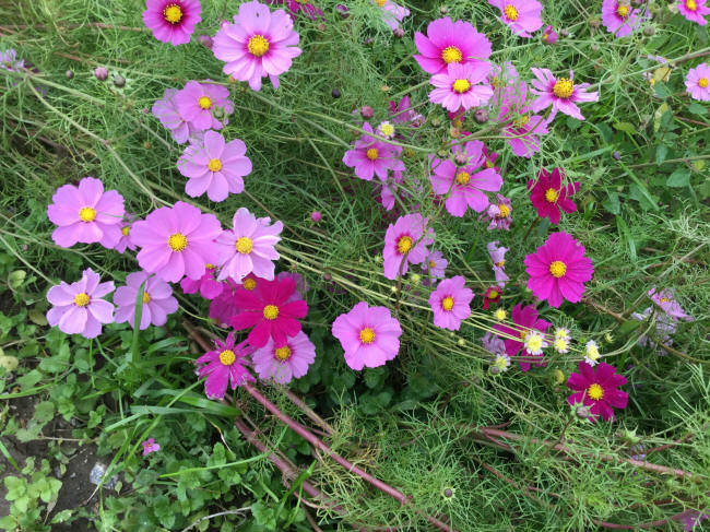 �����⥹������