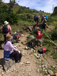 ��ĺ�Ȥ�����ٷ���